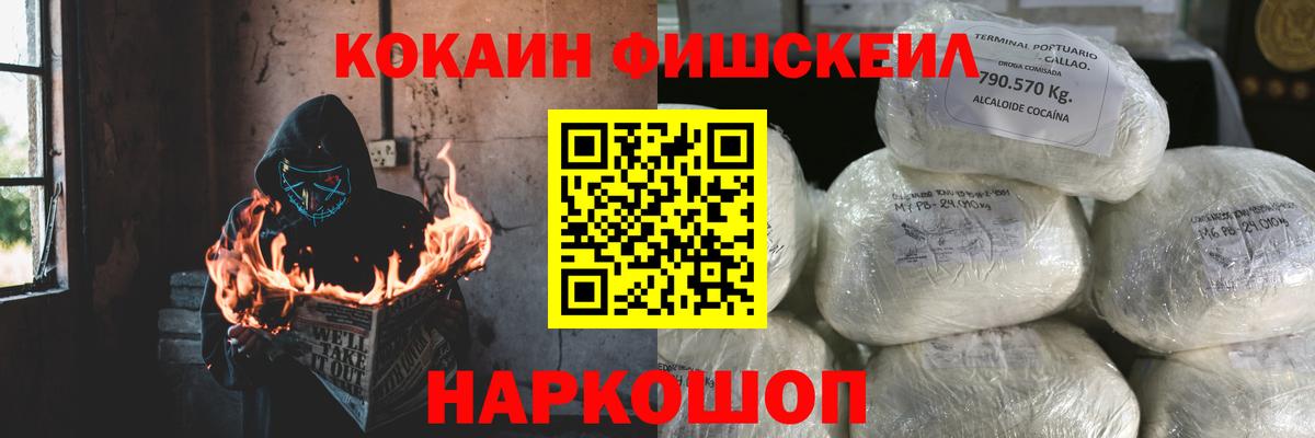 Cocaine  Вход с VPN  COCAIN Columbia  как найти закладки  COCAIN Fish Scale  Камышлов 