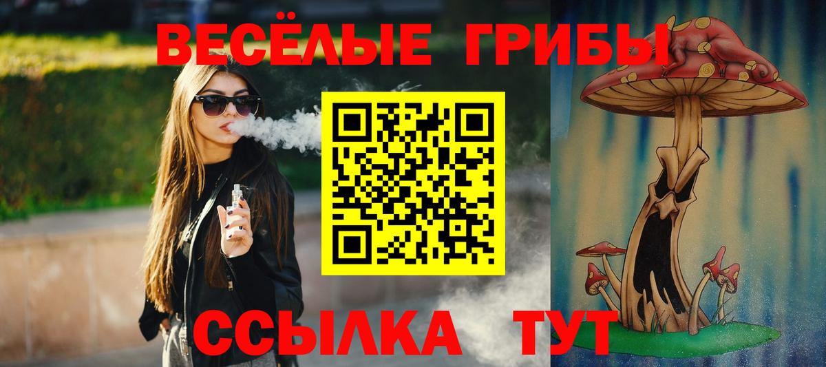 Псилоцибиновые грибы Cubensis  Вход с VPN  Камышлов 