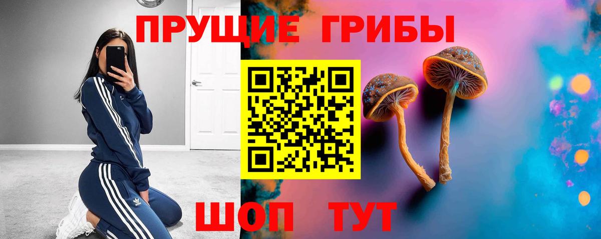 Псилоцибиновые грибы Psilocybine cubensis Камышлов